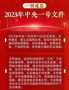 一图速览2023中央一号文件